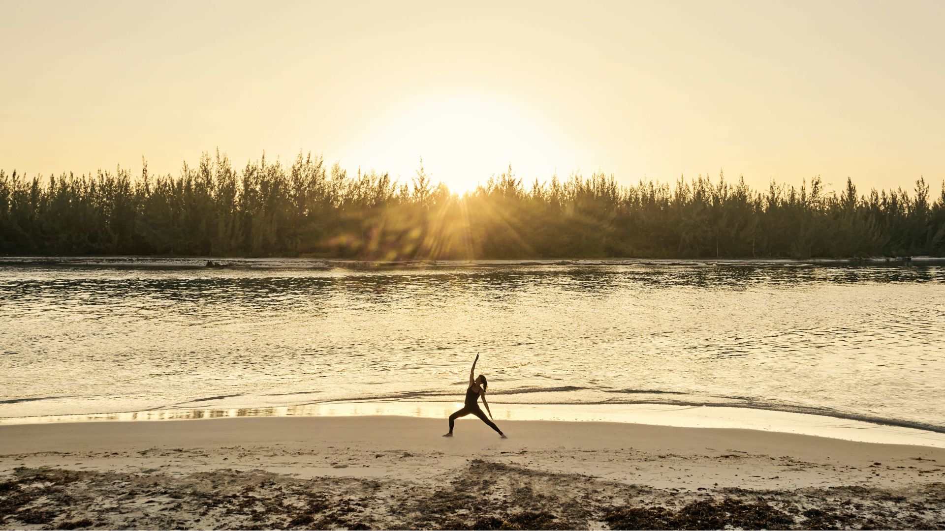 A Person Jumping Into A Lake
