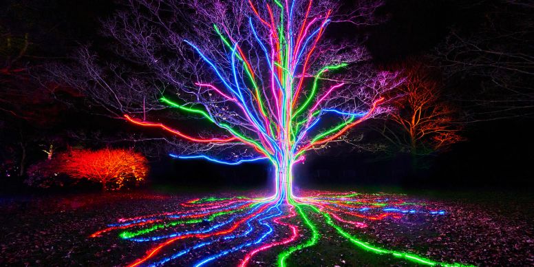 Fireworks In The Sky