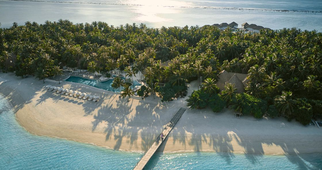 A Beach With Trees And Houses