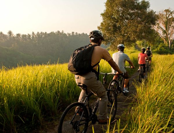 A Group Of People Riding Bikes On A Trail In A Grassy Area