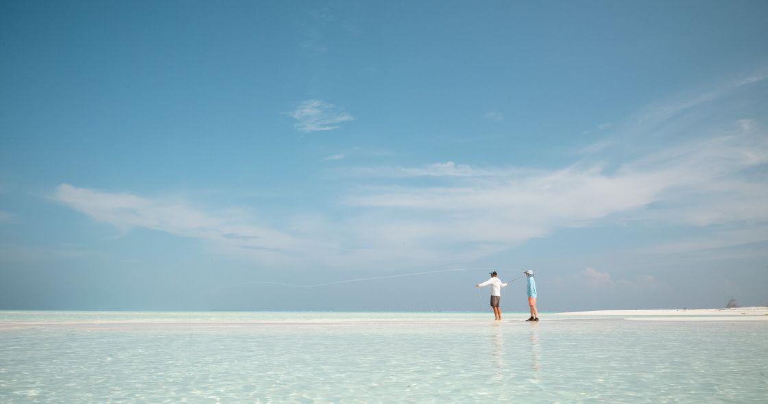 A Couple Of People Walking On A Beach