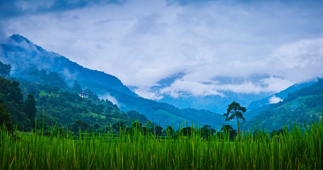 A Grassy Field With Trees And Mountains In The Background