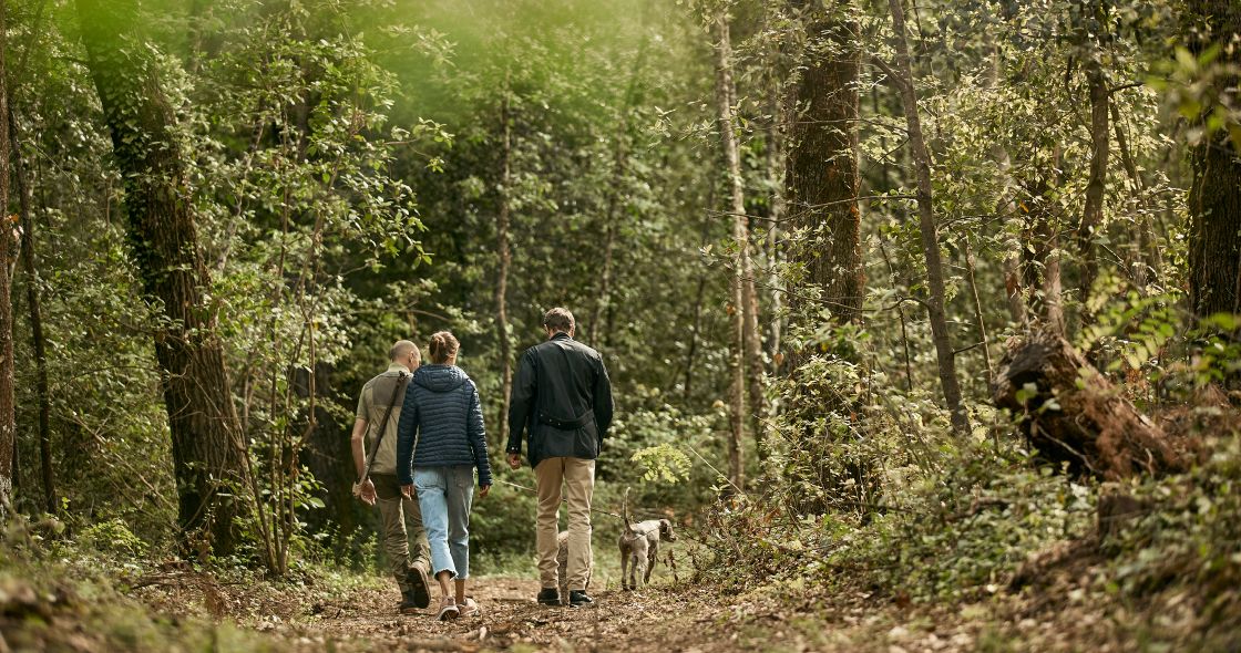 A Group Of People Walking In The Woods
