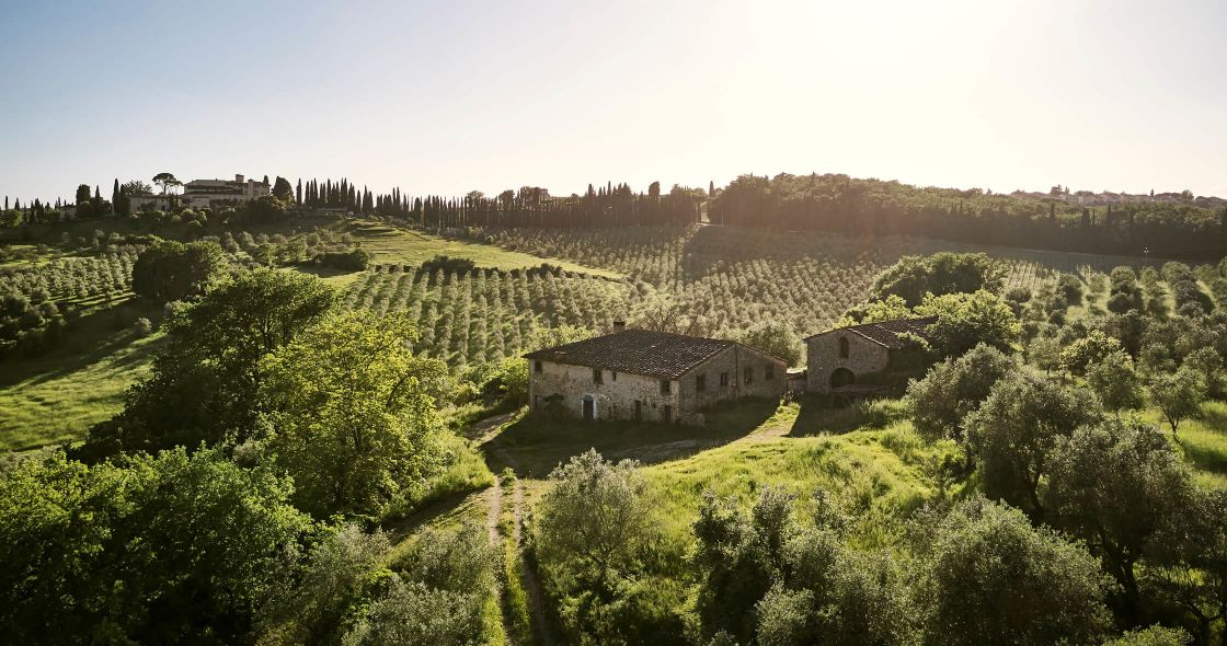 A Large Green Landscape With Trees And Buildings