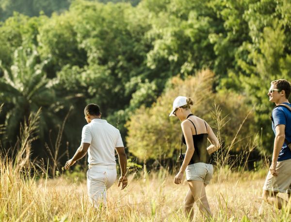 A Group Of People Walking Through Tall Grass