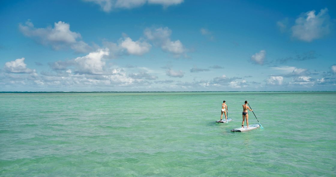 A Couple Of People Paddle Surfing In The Ocean
